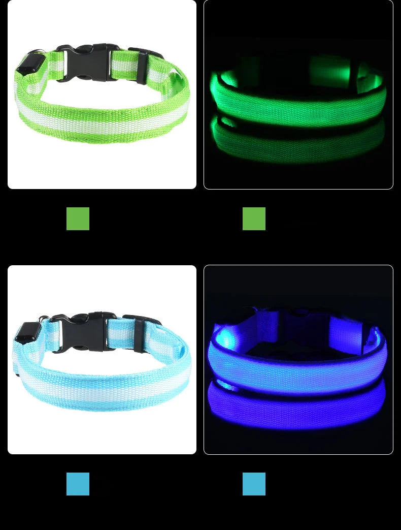 Collare per cani in nylon LED di sicurezza notturna lampeggiante che si illumina al buio
