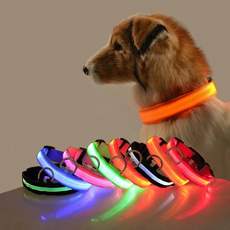 Collare per cani in nylon LED di sicurezza notturna lampeggiante che si illumina al buio