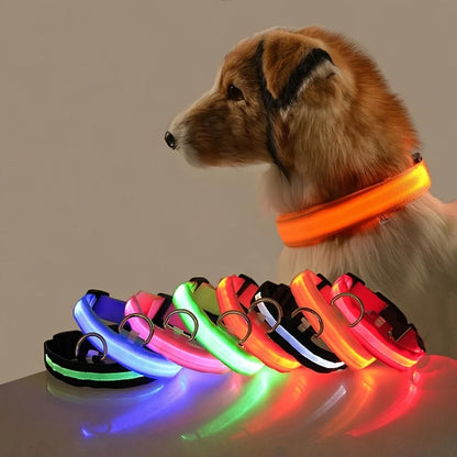 Collare per cani in nylon LED di sicurezza notturna lampeggiante che si illumina al buio