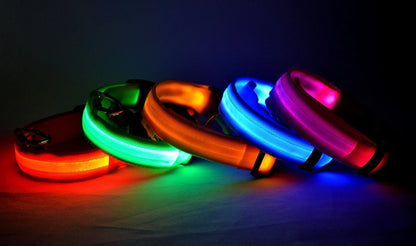 Collare per cani in nylon LED di sicurezza notturna lampeggiante che si illumina al buio